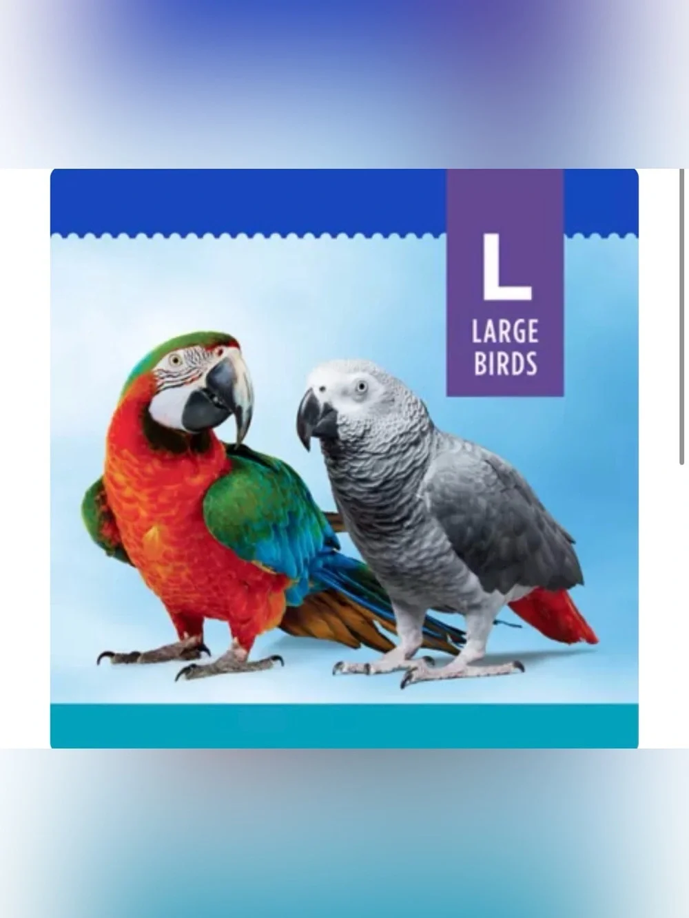 All Living Things® Pineapple Chew Bird Toy